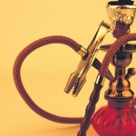 Alligator Gator Stainless Steel Hookah – Should I Buy This?