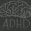 What Is ADHD and How Does It Affect Adults and Children?